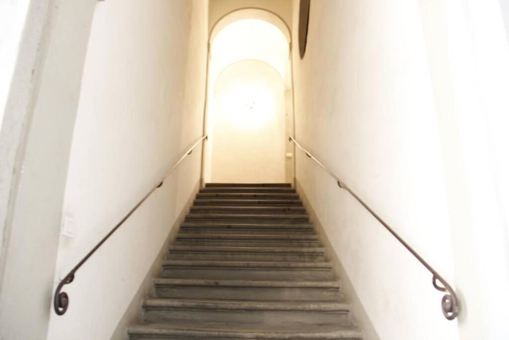 Art Apartment Santa Croce Suite 佛罗伦萨 外观 照片